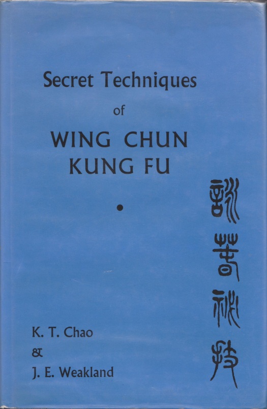 Wing chun kung fu techniques