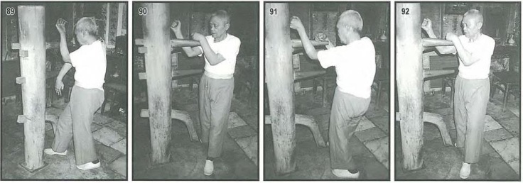 Pan Nam demonstrates the wooden dummy form. Source: Leung Ting, 2004.